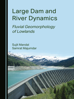 cover image of Large Dam and River Dynamics